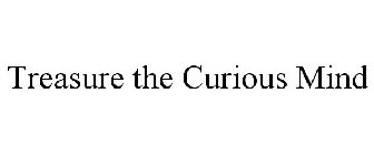 TREASURE THE CURIOUS MIND