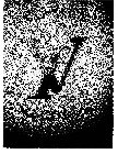 LEAD MUZIK IV RECORDS