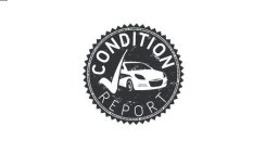 CONDITION REPORT