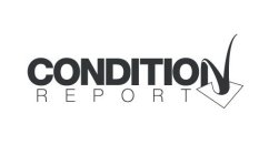 CONDITION REPORT