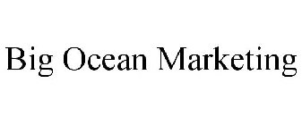 BIG OCEAN MARKETING