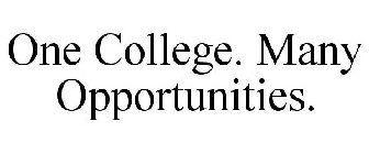 ONE COLLEGE. MANY OPPORTUNITIES.