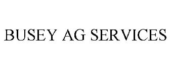 BUSEY AG SERVICES