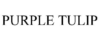 PURPLE TULIP