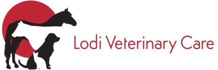 LODI VETERINARY CARE