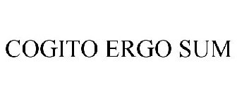 COGITO ERGO SUM