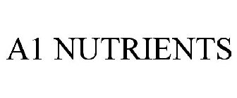 A1 NUTRIENTS
