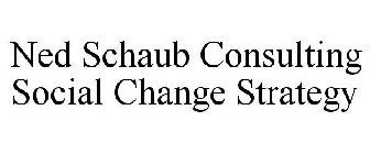 NED SCHAUB CONSULTING SOCIAL CHANGE STRATEGY