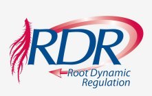 RDR ROOT DYNAMIC REGULATION