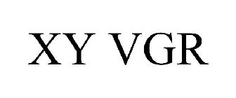 XY VGR