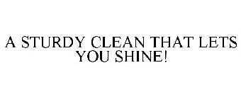 A STURDY CLEAN THAT LETS YOU SHINE!