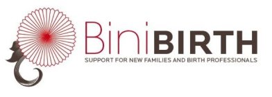 BINI BIRTH SUPPORT FOR NEW FAMILIES AND BIRTH PROFESSIONALS