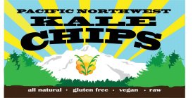 PACIFIC NORTHWEST KALE CHIPS ALL NATURAL GLUTEN FREE VEGAN RAW