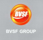 BVSF BVSF GROUP