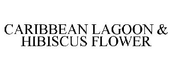 CARIBBEAN LAGOON & HIBISCUS FLOWER