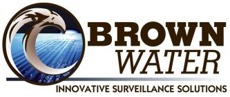 BROWNWATER LLC