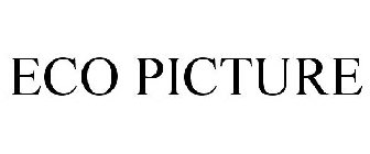 ECO PICTURE