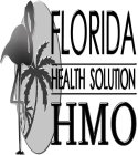 FLORIDA HEALTH SOLUTION HMO