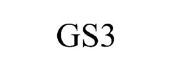 GS3