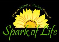 SPARK OF LIFE THERE'S HOPE IN HEALING FOODS!