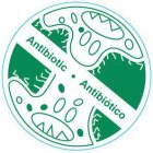 ANTIBIOTIC ANTIBIÃTICO