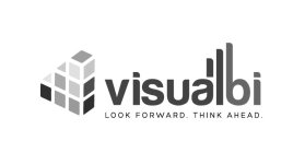 VISUALBI LOOK FORWARD. THINK AHEAD.