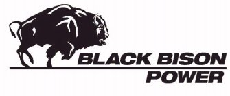 BLACK BISON POWER