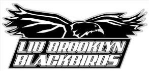 LIU BROOKLYN BLACKBIRDS