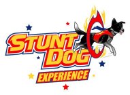 STUNT DOG EXPERIENCE