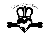 WHAT A DOG WANTS