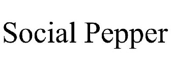 SOCIAL PEPPER