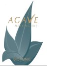 AGAVE HEALING OIL BIO IONIC