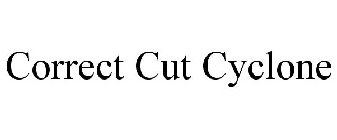 CORRECT CUT CYCLONE