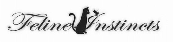 FELINE INSTINCTS