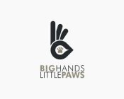 BIG HANDS LITTLE PAWS