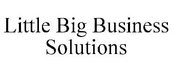 LITTLE BIG BUSINESS SOLUTIONS