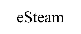 ESTEAM