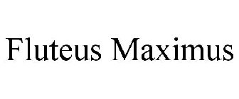 FLUTEUS MAXIMUS