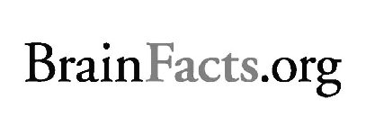 BRAINFACTS.ORG