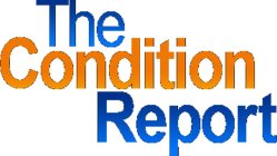 THE CONDITION REPORT