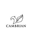 CAMBRIAN