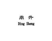 DING SHENG