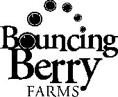 BOUNCING BERRY FARMS