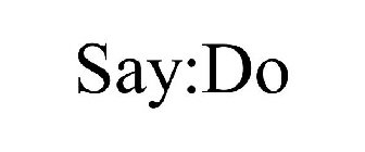 SAY:DO