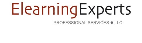 ELEARNING EXPERTS PROFESSIONAL SERVICES LLC