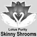 LOTUS PURITY SKINNY SHROOMS