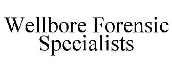 WELLBORE FORENSIC SPECIALISTS