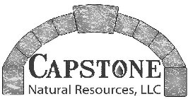 CAPSTONE NATURAL RESOURCES, LLC