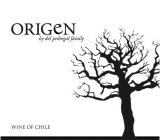 ORIGEN BY DEL PEDREGAL FAMILY WINE OF CHILE