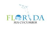 FLORIDA SEA CUCUMBER